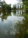 Náveský rybník
